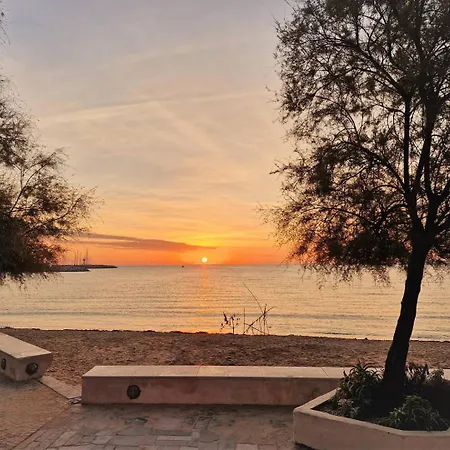 Bo015-222 2 Couchages Bormes Les Mimosas Apartment *